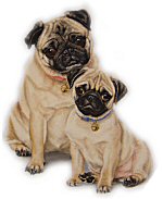 WELCOME TO PET PORTRAITS.
