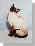 click here for picture of Anneka