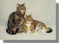 click here for picture of Arnie & Pepper
