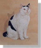 click here for picture of Ben