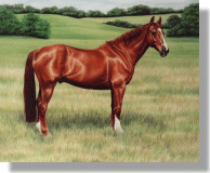 click here for picture of Bentley Beau