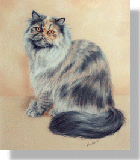 click here for picture of Cleo