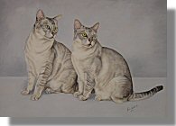 click here for picture of Copper & Indigo
