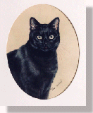 click here for picture of Henry