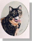 click here for picture of Kitty
