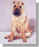 click here for picture of Lois