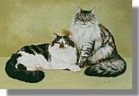 click here for picture of Sebastian & Rupert