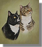click here for picture of Silly Socks & Billy Bob