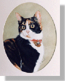 click here for picture of Witts