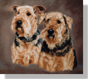 click here for picture of Archie & Jack