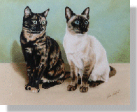 click here for picture of Berry & Jasper