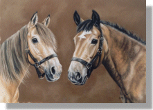 click here for picture of Biscuit & Double Diamond