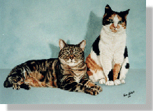 click here for picture of Buster & Titch