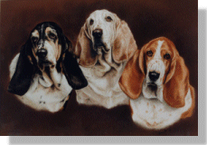 click here for picture of Emma, Jasper & Sophie