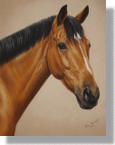 click here for picture of Lady Dorchester