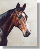 click here for picture of Laurie