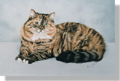 click here for picture of Pebbles