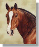 click here for picture of Seamus