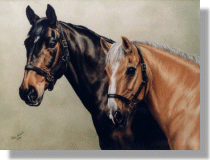 click here for picture of Teddy & Bonn